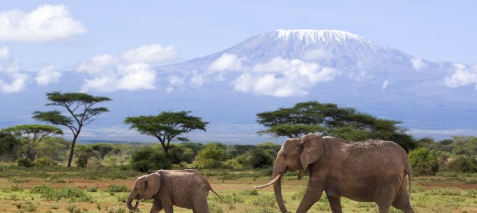 Kenia – Ein Land für Strandurlauber und Naturerkunder Kenia – Ein Land für Strandurlauber und Naturerkunder