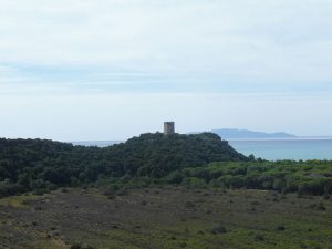 Nationalpark-Maremma-A2-Turme-01