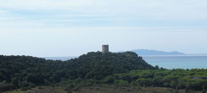 Maremma – eine magische Urlandschaft in Toskana