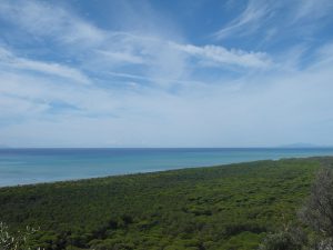 Nationalpark-Maremma-A2-Turme-01