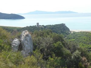 Nationalpark-Maremma-A2-Turme-01