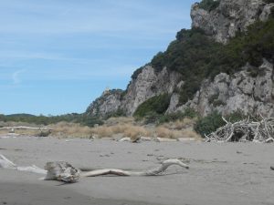 Nationalpark-Maremma-A2-Turme-01