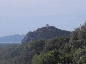 Nationalpark-Maremma-A4-Cala-di-Forno-01