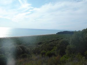 Nationalpark-Maremma-A4-Cala-di-Forno-01