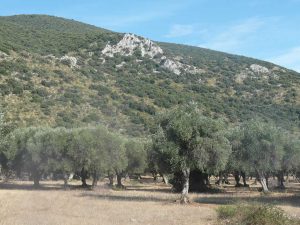 Nationalpark-Maremma-A4-Cala-di-Forno-01