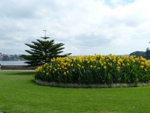 Royal Botanic Gardens